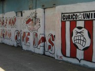 Mural - Graffiti - Pintada - "Gracias por la alegría que me das" Mural de la Barra: Los Marginales • Club: Curicó Unido