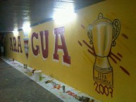 Mural - Graffiti - Pintada - Mural de la Barra: Los Vikingos • Club: Aragua