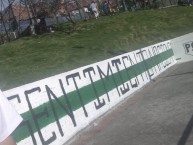 Mural - Graffiti - Pintada - "sentimiento Nacional NV" Mural de la Barra: Nación Verdolaga &bull; Club: Atlético Nacional