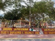 Mural - Graffiti - Pintada - Mural de la Barra: Revolución Vinotinto Sur &bull; Club: Tolima