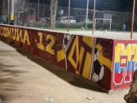 Mural - Graffiti - Pintada - Mural de la Barra: Revolución Vinotinto Sur &bull; Club: Tolima