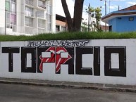 Mural - Graffiti - Pintada - Mural de la Barra: Revolución Vinotinto Sur • Club: Tolima