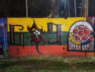 Mural - Graffiti - Pintada - "BARRA BRAVA COLOMBIA" Mural de la Barra: Revolución Vinotinto Sur • Club: Tolima