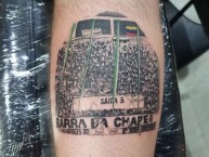 Tattoo - Tatuaje - tatuagem - Tatuaje de la Barra: Barra da Chape • Club: Chapecoense • País: Brasil