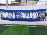 Trapo - Bandeira - Faixa - Telón - "Los Panzer Filiar Italia" Trapo de la Barra: Boca del Pozo &bull; Club: Emelec &bull; País: Ecuador