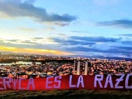 Trapo - Bandeira - Faixa - Telón - "AMERICA ES LA RAZON" Trapo de la Barra: Disturbio Rojo Bogotá &bull; Club: América de Cáli &bull; País: Colombia