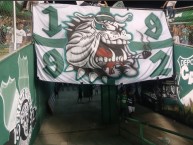 Trapo - Bandeira - Faixa - Telón - Trapo de la Barra: Frente Radical Verdiblanco &bull; Club: Deportivo Cali &bull; País: Colombia