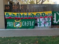 Trapo - Bandeira - Faixa - Telón - Trapo de la Barra: Frente Radical Verdiblanco &bull; Club: Deportivo Cali &bull; País: Colombia