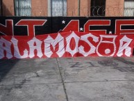 Trapo - Bandeira - Faixa - Telón - "ALAMOSUR" Trapo de la Barra: La Guardia Albi Roja Sur • Club: Independiente Santa Fe
