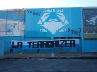 Trapo - Bandeira - Faixa - Telón - Trapo de la Barra: La Terrorizer • Club: Tampico Madero