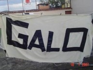 Trapo - Bandeira - Faixa - Telón - "Mov 105 - Galo" Trapo de la Barra: Movimento 105 Minutos • Club: Atlético Mineiro