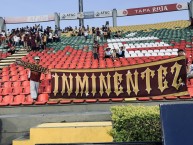 Trapo - Bandeira - Faixa - Telón - Trapo de la Barra: Revolución Vinotinto Sur &bull; Club: Tolima &bull; País: Colombia