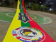 Trapo - Bandeira - Faixa - Telón - Trapo de la Barra: Revolución Vinotinto Sur &bull; Club: Tolima