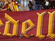 Trapo - Bandeira - Faixa - Telón - Trapo de la Barra: Revolución Vinotinto Sur &bull; Club: Tolima