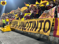 Trapo - Bandeira - Faixa - Telón - Trapo de la Barra: Revolución Vinotinto Sur &bull; Club: Tolima