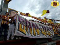 Trapo - Bandeira - Faixa - Telón - Trapo de la Barra: Revolución Vinotinto Sur &bull; Club: Tolima