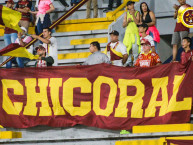 Trapo - Bandeira - Faixa - Telón - Trapo de la Barra: Revolución Vinotinto Sur &bull; Club: Tolima